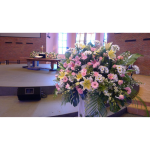 CDEC137