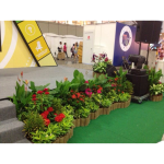 LS114