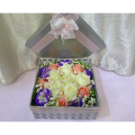 BOX-006 Gratitude