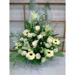 CDL101-Tender Sentiments