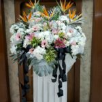 CDL139-Waves of Comfort