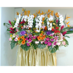 GO50 - Blooming Business