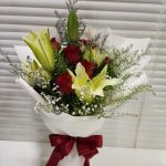 HB-L105 Celebrity