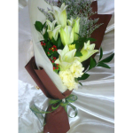 HB-L106 Simplicity