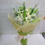 HB-L111 Gorgeous White