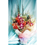 HB-O104 A welcome gift