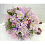HB-O110 Gentle & Pure