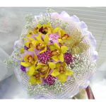 HB-O111 Elegance defined
