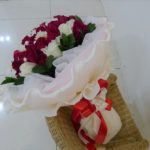 HB-R36 Lady of the heart