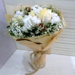 HB-R50 My Fair Lady