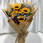 HB-S109 Sunshine Kisses