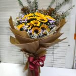 HB-S111 Sunny forecast