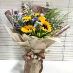 HB-S113 Sunshine Surprise
