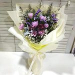 HB-T105 Cassia Bella