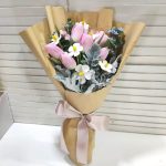 HB-T117 Whimsical