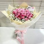 HB-T124 My Pink Princess