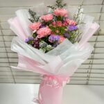 HB-G103 Pink Companion