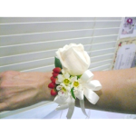 HPCW103-Wristband