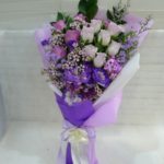 HB-R23 Violet Shade