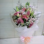 HB-L110 Gorgeous White