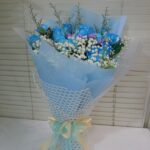 HB-R35 Embrace