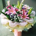 VF16 - Spring of Affections