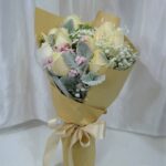 HB-R03 Princess