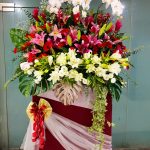 GO48 - Blooming Success